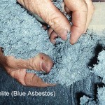 Kauppaketjujen liitto: Hedelmät aletaan pakkaamaan asbestiin kesäkuun alusta lähtien