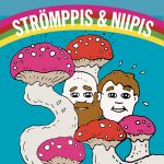 Strömppis & Niipis -podcast: ”Kasperin kulttuurihanuri on täällä”
